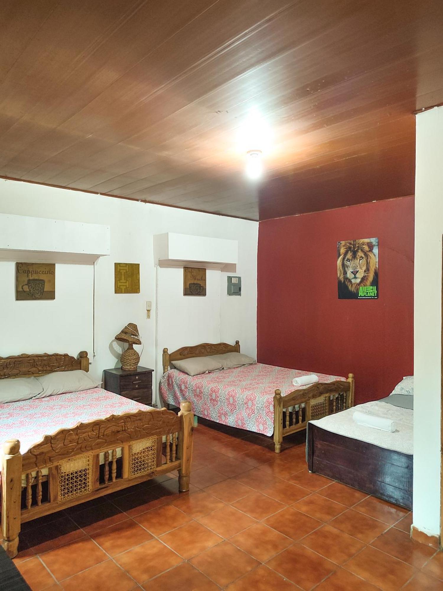 1961 Los Naranjos Hostal Dış mekan fotoğraf